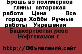 Брошь из полимерной глины, авторская работа. › Цена ­ 900 - Все города Хобби. Ручные работы » Украшения   . Башкортостан респ.,Нефтекамск г.